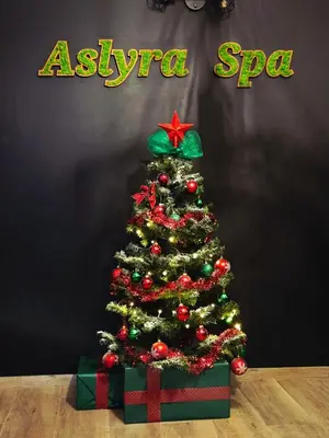 a christmas tree in front of a black wall at Aslyra 