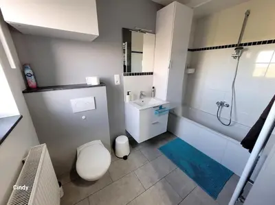 a bathroom with a toilet and a sink and a tub at charmante maison 2 chambres, entièrement rénovée in Jeuk