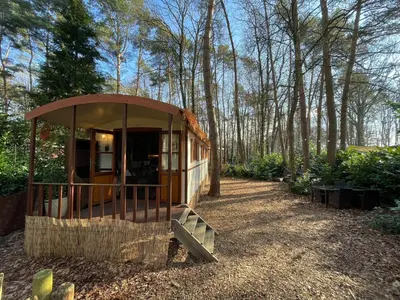 a small house in the middle of a forest at Pipowagen de Zwaan in Hoge Kempen nabij Maastricht in Lanaken