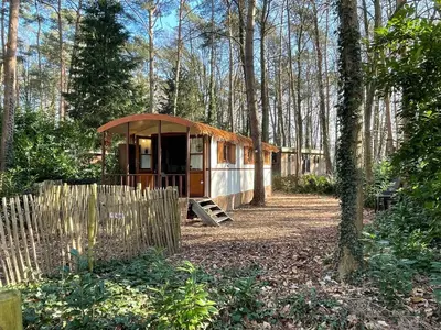 a small cabin in the woods with a fence at Pipowagen de Zwaan in Hoge Kempen nabij Maastricht in Lanaken