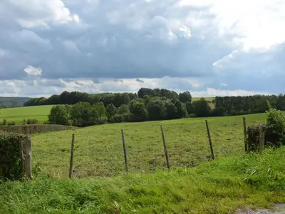a fence in the middle of a field at Teuven Farmhouse for 24 Guests in Teuven