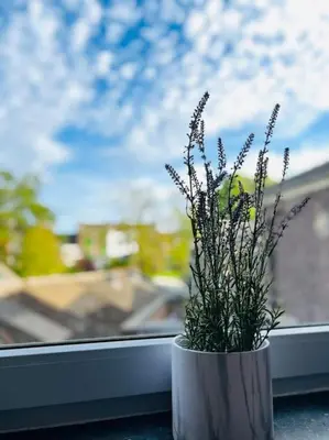 a plant in a vase sitting on a window sill at Charmant petit appartement. in Liège