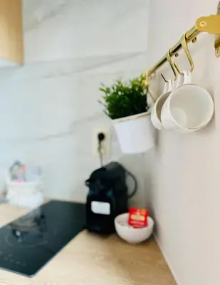 a kitchen with a plant and a pot on a wall at Charmant petit appartement. in Liège