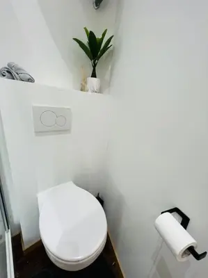 a white bathroom with a toilet and a plant at Charmant petit appartement. in Liège