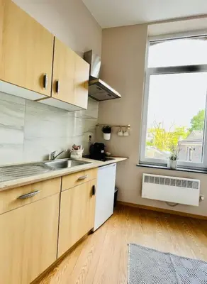 a small kitchen with a sink and a window at Charmant petit appartement. in Liège
