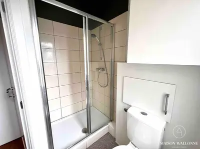 a bathroom with a shower and a toilet at Le Loft liégeois - Au coeur de la cité in Liège