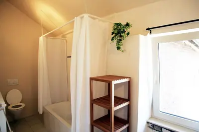 a bathroom with a shower curtain and a toilet at Apartment 't Maanhof in Gingelom
