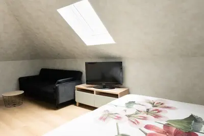 a bedroom with a bed and a tv and a couch at Stijlvol appartement met jacuzzi & sauna in Herk-de-Stad