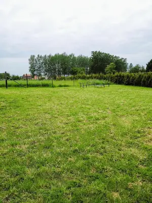 a field of grass with benches in the distance at Ten Velde - vakantiewoning 12 personen - sauna - bubbelbad in Hoeselt