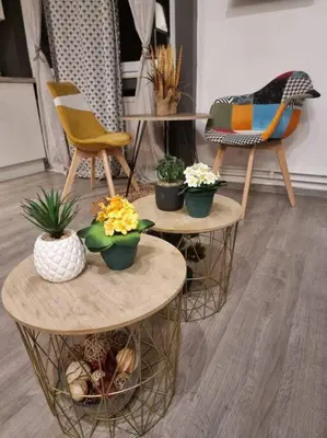 a group of chairs and tables with potted plants on them at Appartement très proche médiacité - centre ville in Liège