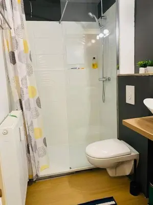 a bathroom with a shower and a toilet at Appartement très proche médiacité - centre ville in Liège