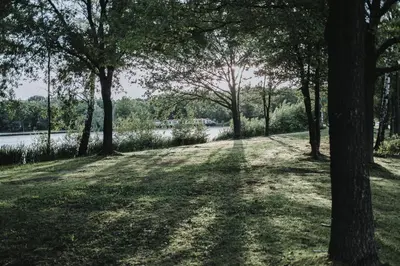 a tree lined path next to a body of water at Huisje Mezengroet in Lanaken