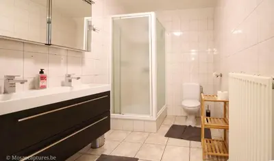 a bathroom with a sink and a shower and a toilet at Millenniumhoeve (Lieke) in Riemst
