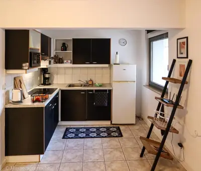 a small kitchen with a white refrigerator and a window at Millenniumhoeve (Lieke) in Riemst