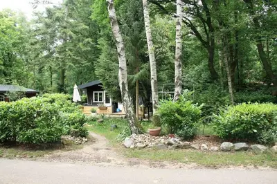 a house in the middle of a forest with trees at Vakantie Bos Huisje “Meibloempje” in Lanaken