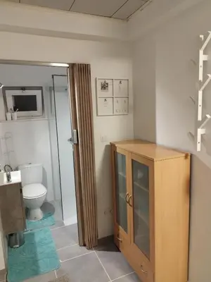 a bathroom with a toilet and a wooden cabinet at Modern Lux studio in Beringen
