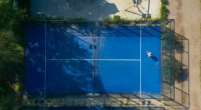 an overhead view of a blue tennis court at Vakantiehuis Hoge Kempen - 25 minuten Roermond, Maasmechelen & Maastricht in Kinrooi