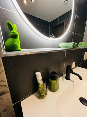 a bathroom with a sink with a green bunny on the counter at TB Trianon - Appartement Chic & Cosy in Liège