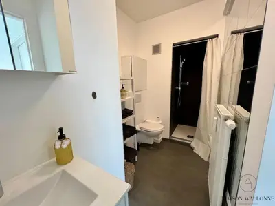 a white bathroom with a toilet and a sink at Le Panoramique des Carmes - Vue Cathédrale in Liège