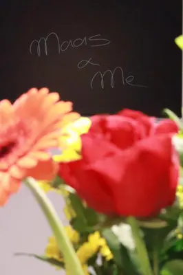 a close up of two red roses with the words move me at Maas & Me in Dilsen-Stokkem