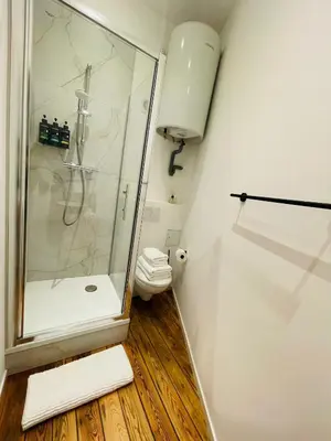 a bathroom with a shower and a toilet at Chaleureux petit appartement in Liège