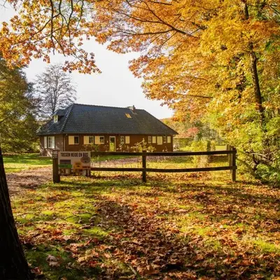 Tussen Heide en Bos in het Nationaal Park Hoge Kempen