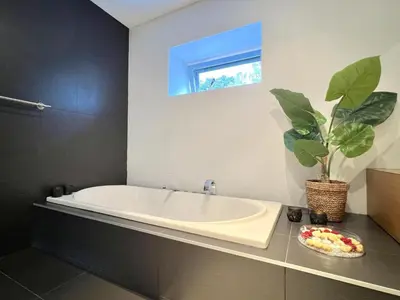 a bathroom with a tub and a potted plant at t Vennehuisje in Genk