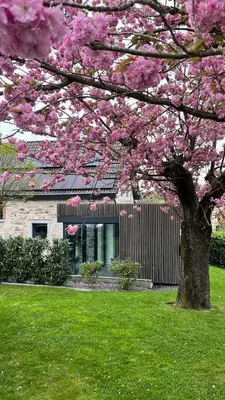 a tree with pink flowers in front of a house at GP - F1 FRANCORCHAMPS - 2 Chambres in Trooz