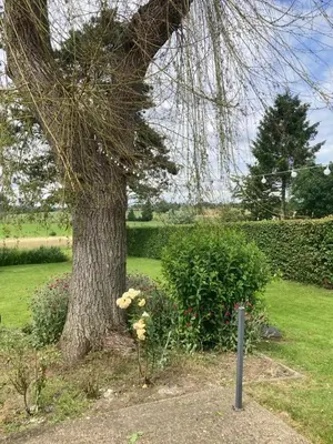 a tree in a garden with flowers around it at Chambre d hote in Olne