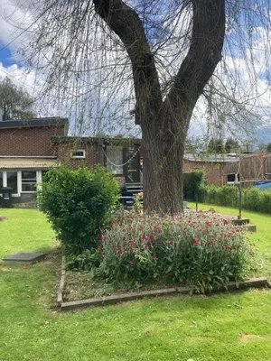 a tree and flowers in front of a house at Chambre d hote in Olne