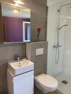 a bathroom with a sink and a toilet and a shower at Chambre d hote in Olne