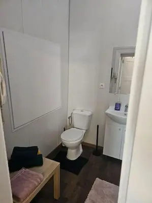 a small bathroom with a toilet and a sink at Logements Liège un in Liège