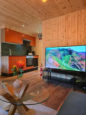 a living room with a large flat screen tv at Tiny Lodge met prive Jacuzzi in Lanaken