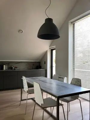 a dining room table with chairs and a black light fixture at Huis Vanellus in Hasselt