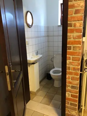 a bathroom with a toilet and a sink at Casa Fratello Bolderberg in Heusden - Zolder