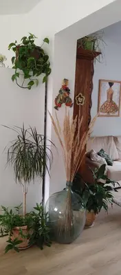 a vase with plants in it on a table at Au petit 31 in Pepinster