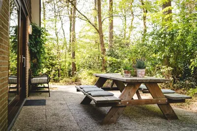 a wooden picnic table with a potted plant on it at Boshuisje Rekem - Olive in Lanaken