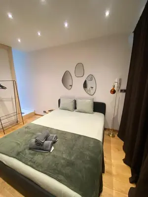 a bedroom with a bed with mirrors on the wall at En NEUVICE 27 in Liège