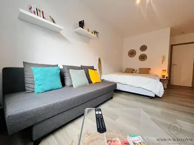 a living room with a couch and a bed at Le Wallon - Cointe Guillemins Botanique in Liège