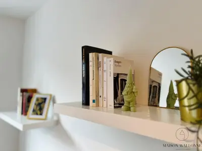 a shelf with books and a potted plant on it at Le Wallon - Cointe Guillemins Botanique in Liège