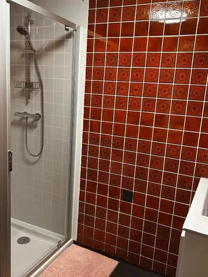 a bathroom with a shower with red tiles on the wall at Residentie Papillon in Hasselt