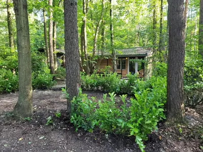 a small cabin in the woods with trees at Corgi-Flowerhuisje in Lanaken