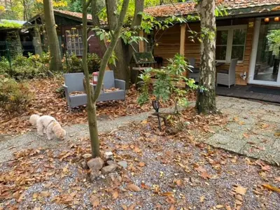 a dog sleeping in a yard in front of a house at Corgi-Flowerhuisje in Lanaken