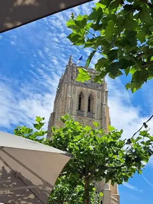 a building with a tower with a tree in front of it at Romagna in Tongeren
