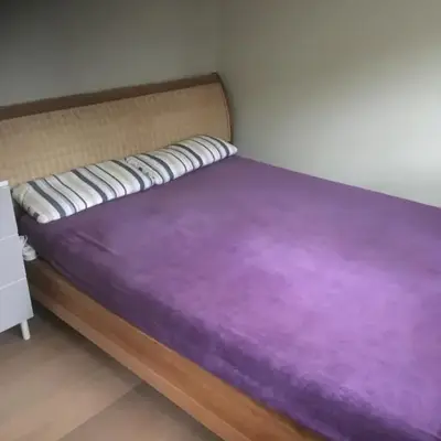Daisy home
