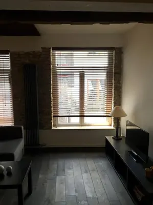 a living room with a couch and two windows at La Vie Hors Château in Liège