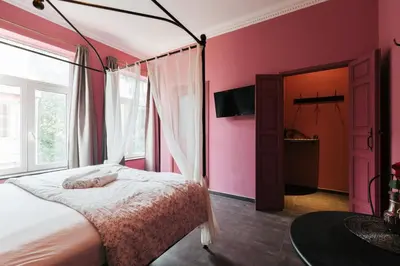 a bedroom with pink walls and a bed with a canopy at Hotel Riad Nour in Liège