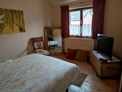 a bedroom with a bed and a tv and a mirror at Chez Marie in Liège