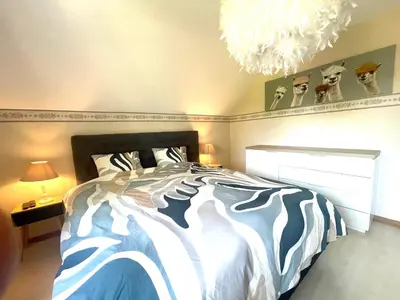 a bedroom with a large bed and a chandelier at Happiness at Vero in Verviers