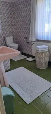 a bathroom with a sink and a toilet and a rug at A home away from home in Oudsbergen